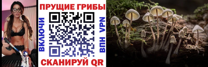 хочу наркоту  ссылка на мегу tor  Псилоцибиновые грибы Psilocybe  Рязань 