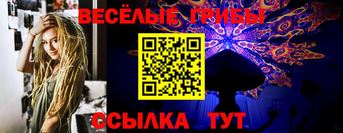 Псилоцибиновые грибы мухоморы Рязань